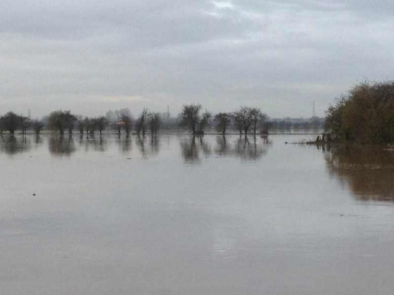 trent-in-flood-2012-the-other-bank-in-flood-on-other-bank-opposite-peg-110